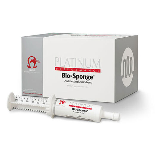 Bio-Sponge&reg; Paste &#40;60cc Syringe&#41;