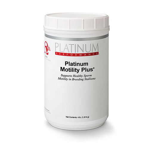 Acetyl LCarnitine for Horses in Buckets Equine Sperm Motility