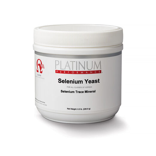 Selenium Yeast