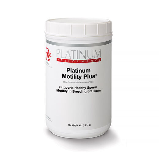 acetyl l carnitine for horses L-Carnitine in Buckets Shea Butter Face Cream Nasal - GHK-Cu / Weight:50g