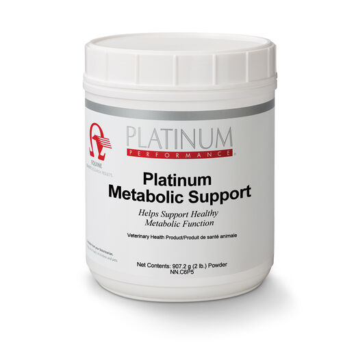 Metabolic support for fitness