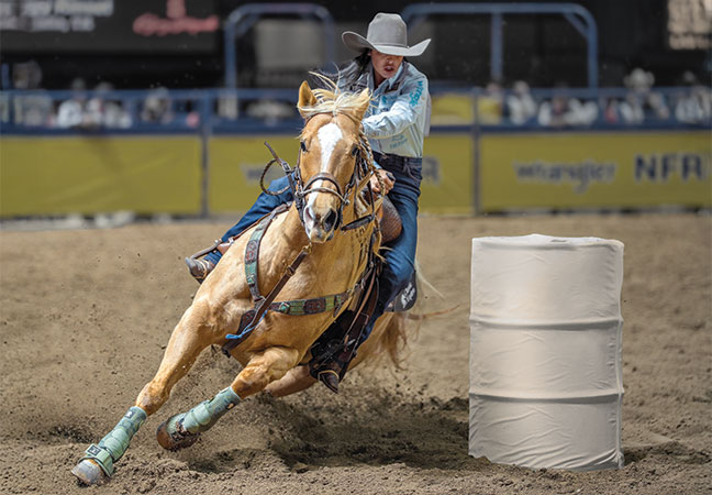 durable equine athlete