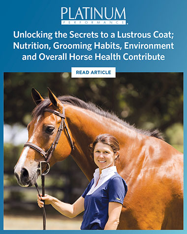 Shiny Horses: Secrets to a Lustrous Coat