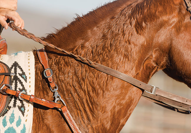 summer safety for horses