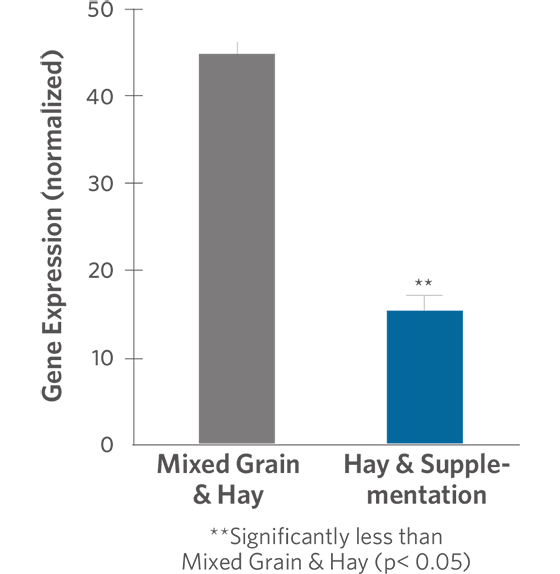 TNF-alpha Gene Expression in Horses Consuming a Hay chart