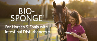 Bio-Sponge® - For horses and foals with intestinal disturbances