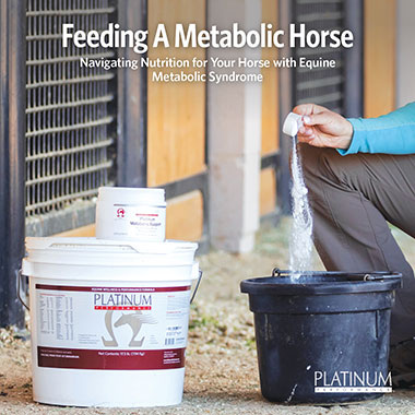Feeding a Horse with Metabolic Issues