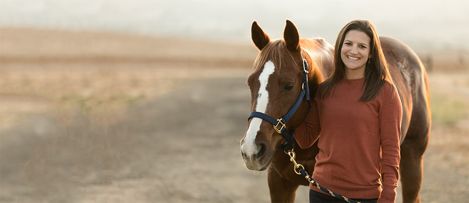 Vet checking horse's knee