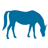 horse trailer icon