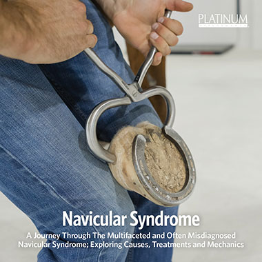 Navicular Syndrome