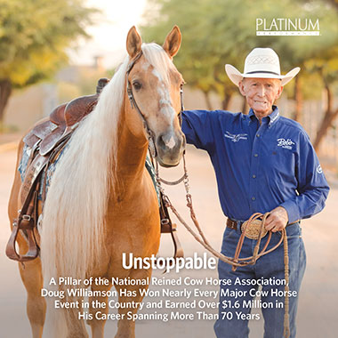 Heavyweight: Draft Horses