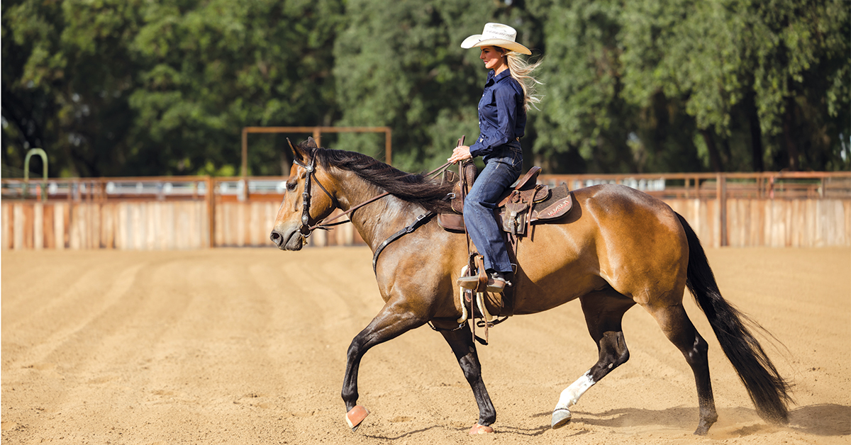 Western rider riding a bay performance horse in an outdoor arena