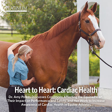 Assessing Equine Allergies