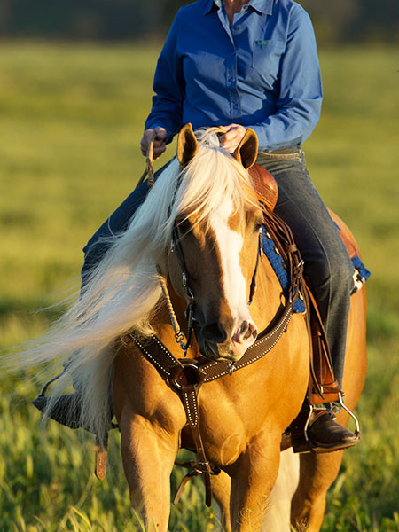 Managing the Allergic Response