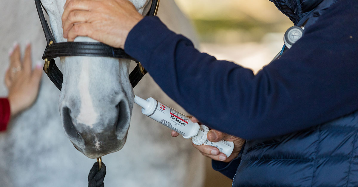 BioSponge® for Horses