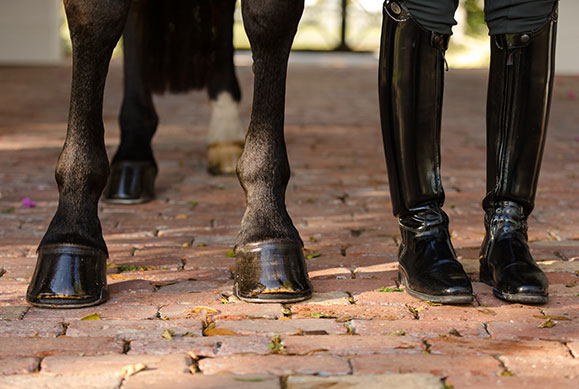 healthy hooves