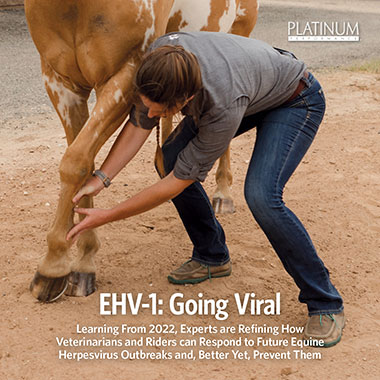Equine Herpesvirus (EHV-1): Going Viral