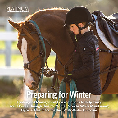 Preparing for Winter