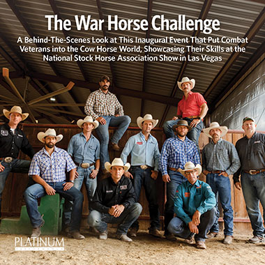 The War Horses Challenge