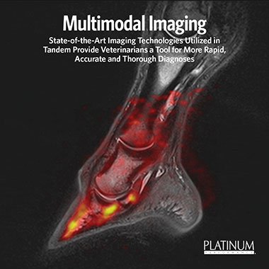 Multimodal Imaging for Horses