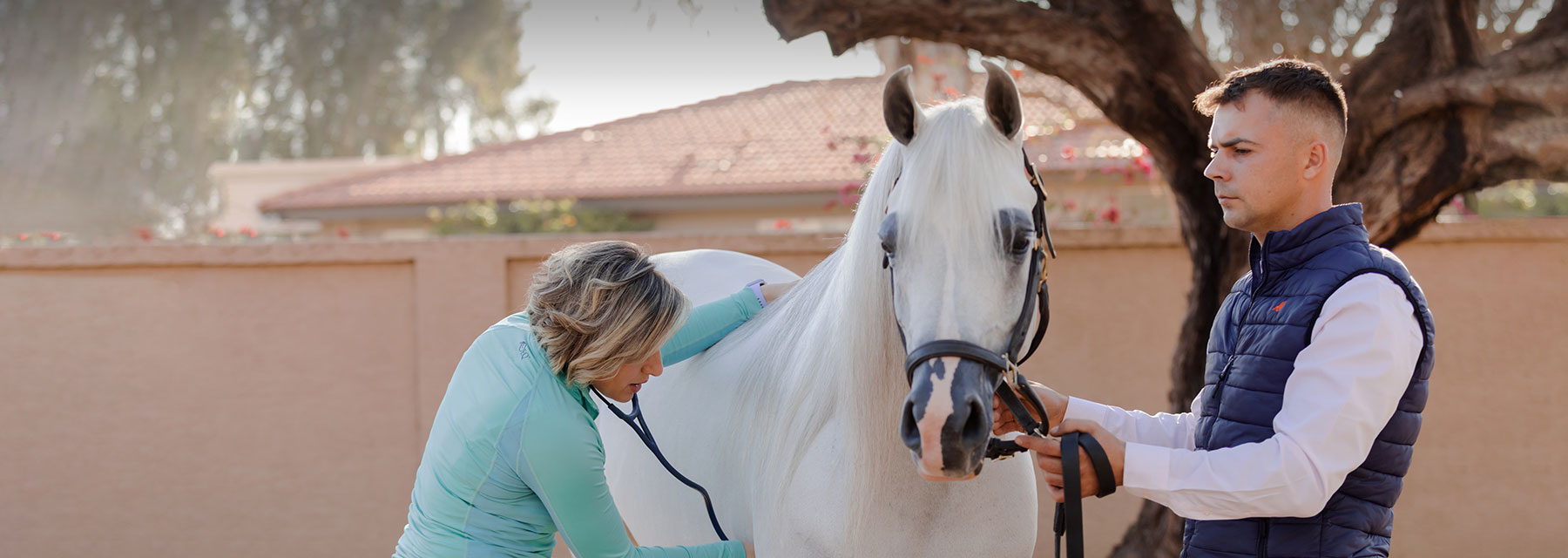 Horse Diarrhea Equine Diarrhea Supplements