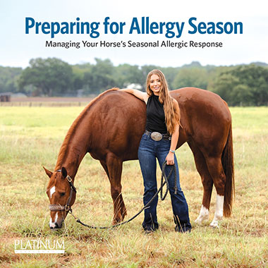 Preparing for Allergy Season