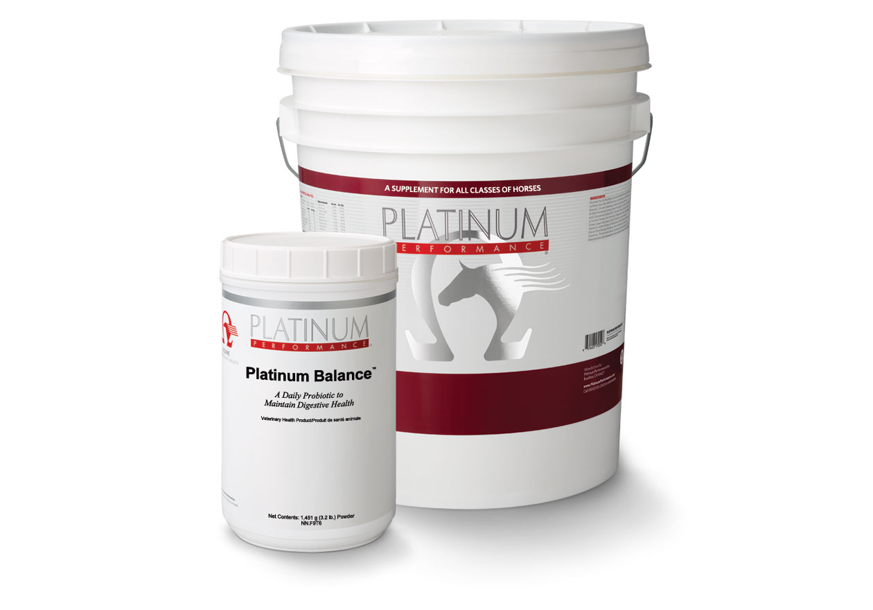 Horse Diarrhea Equine Diarrhea Supplements