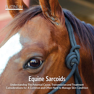 Sarcoids in Horses