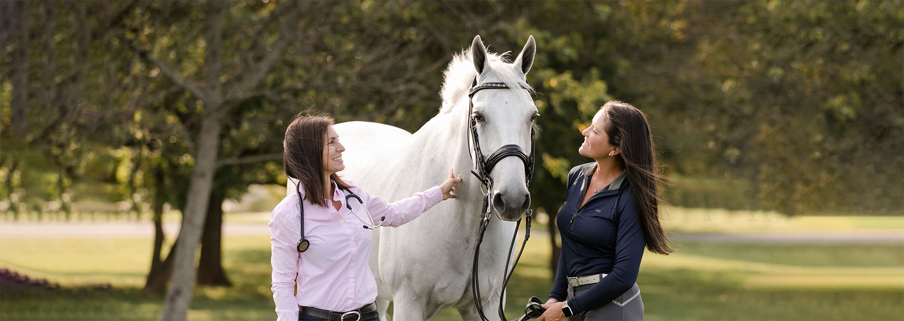 vet with horse and client