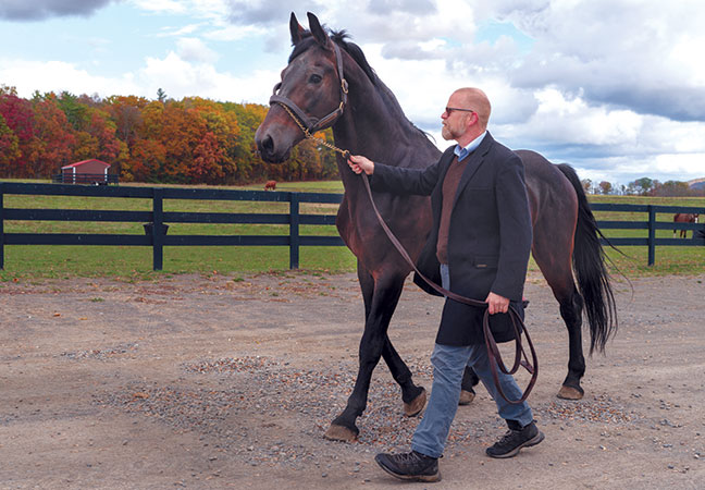 equine reproduction progress