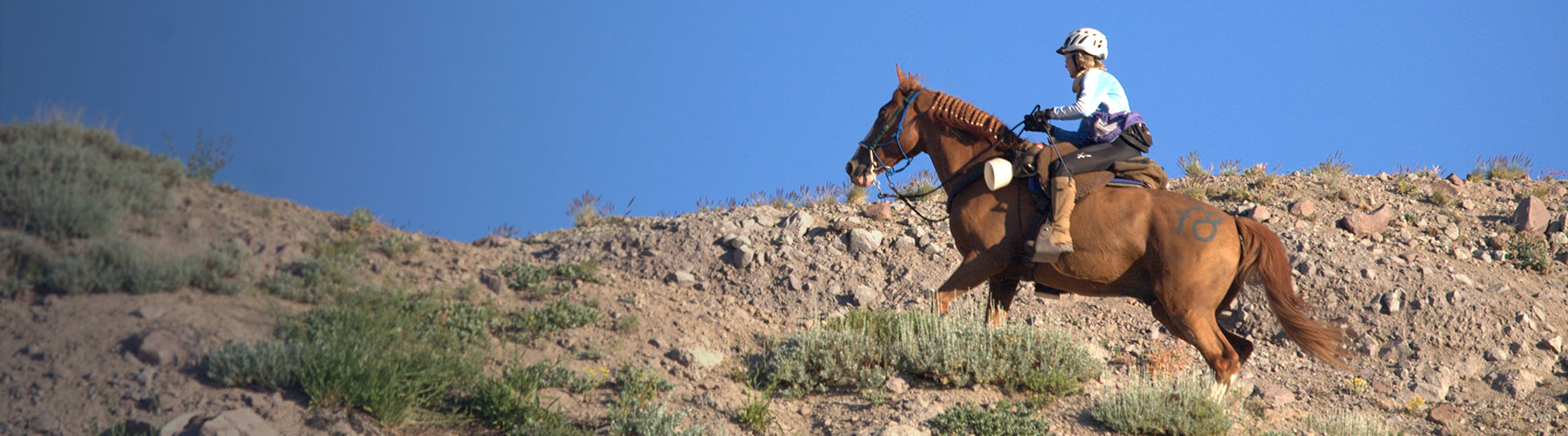 Platinum advisor with her horse