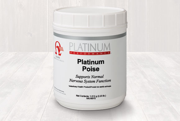 platinum steady
