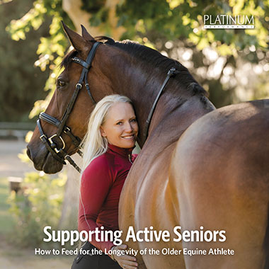 Supporting Active Senior Horses