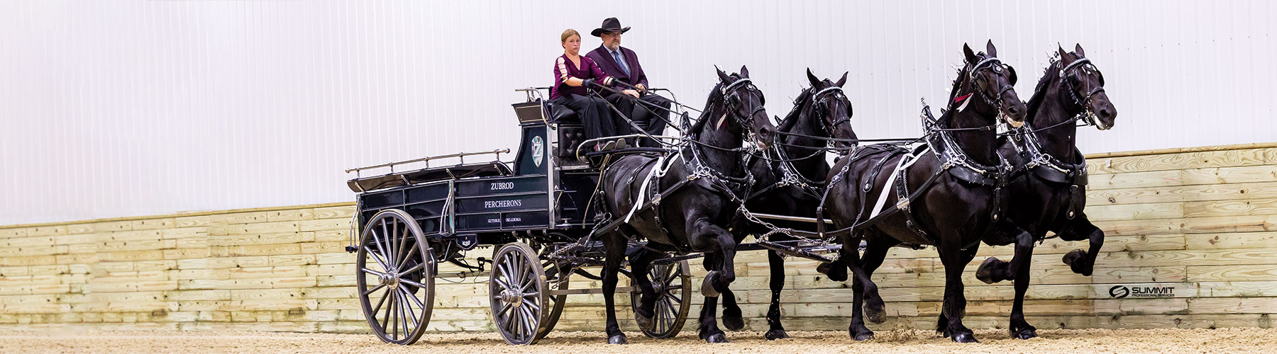 Platinum advisor with her horse