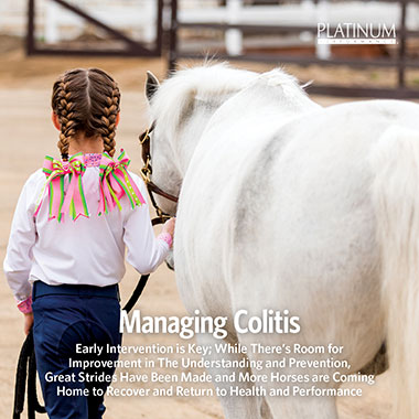 Managing Colitis in Horses