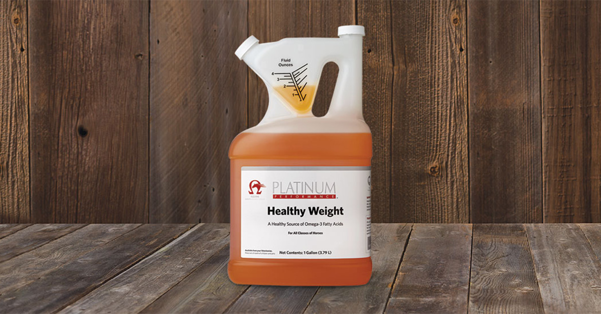 Flaxseed Oil for Horse Health