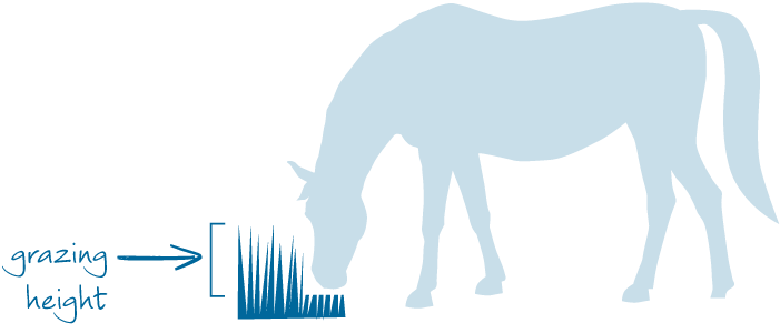 pasture step 2