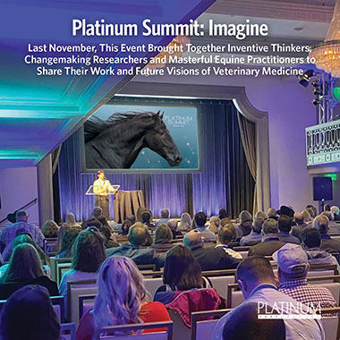 Platinum Summit: Imagine