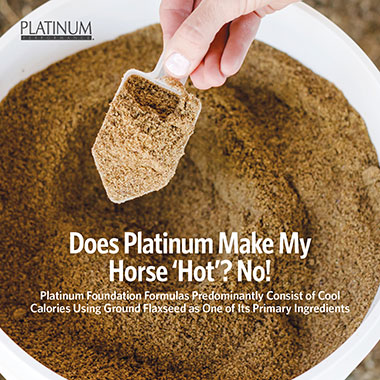 Does Platinum Make My Horse 'Hot'? No!