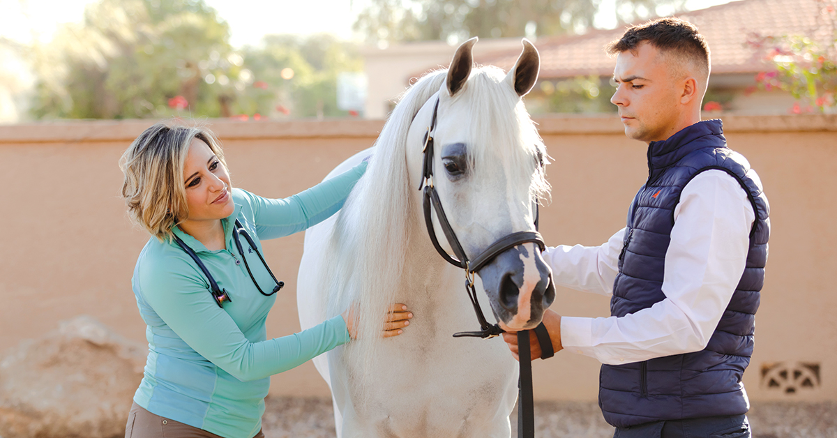 Equine Allergy Testing Horse Allergy Testing
