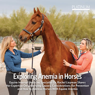 Anemia in Horses