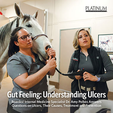 Gut Feeling: Understanding Ulcers
