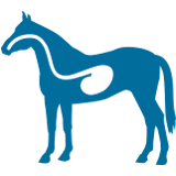 horse trailer icon