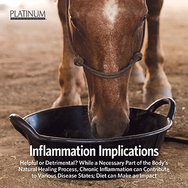 inflammation implications