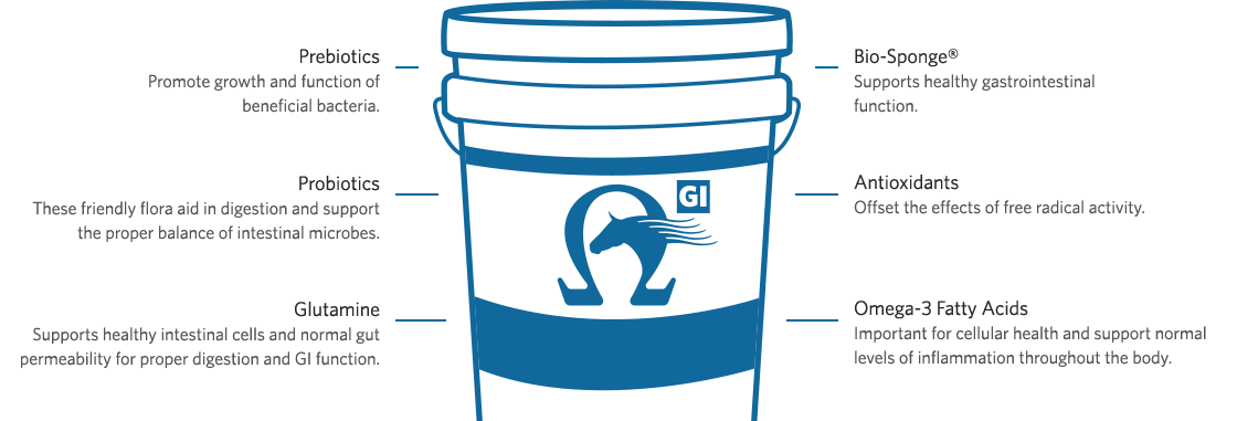 Platinum Performance GI Bucket, Prebiotics, Probiotics, Glutamine, Bio-Sponge, Antioxidants, Omega-3 Fatty Acids