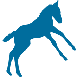 foal care icon