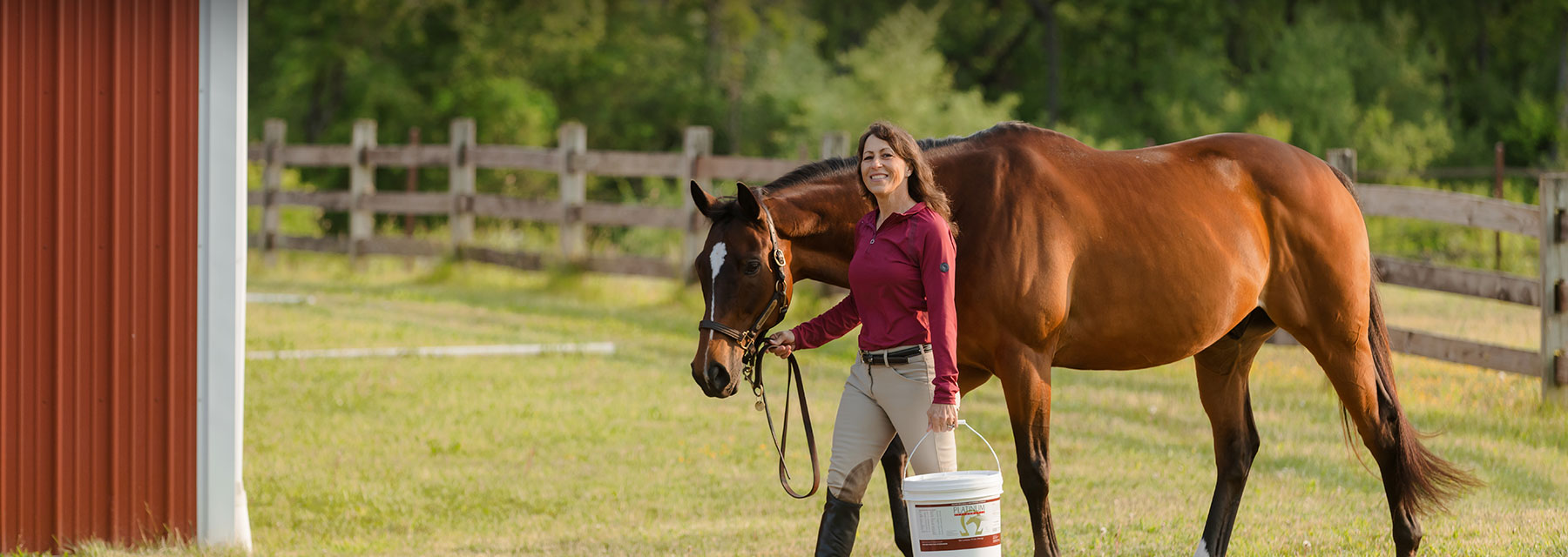 Horse Coat Supplements