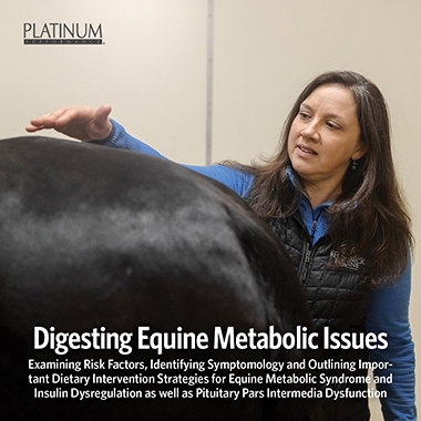 Equine Metabolic Issues