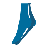 tendon & ligament support